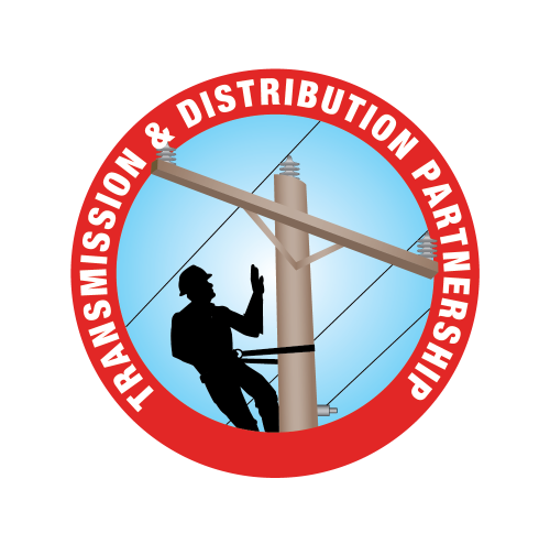 Asset 11000 Asset 11000