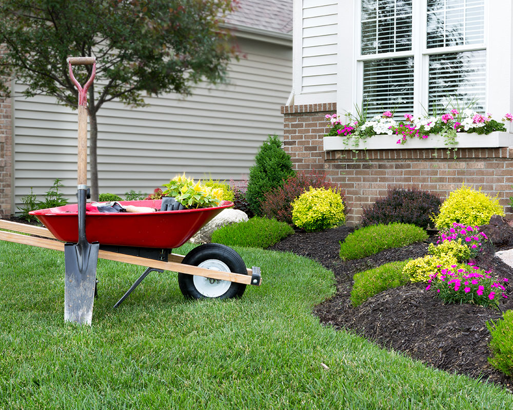 Elliot-Damage-Reclamation Elliot-Damage-Reclamation